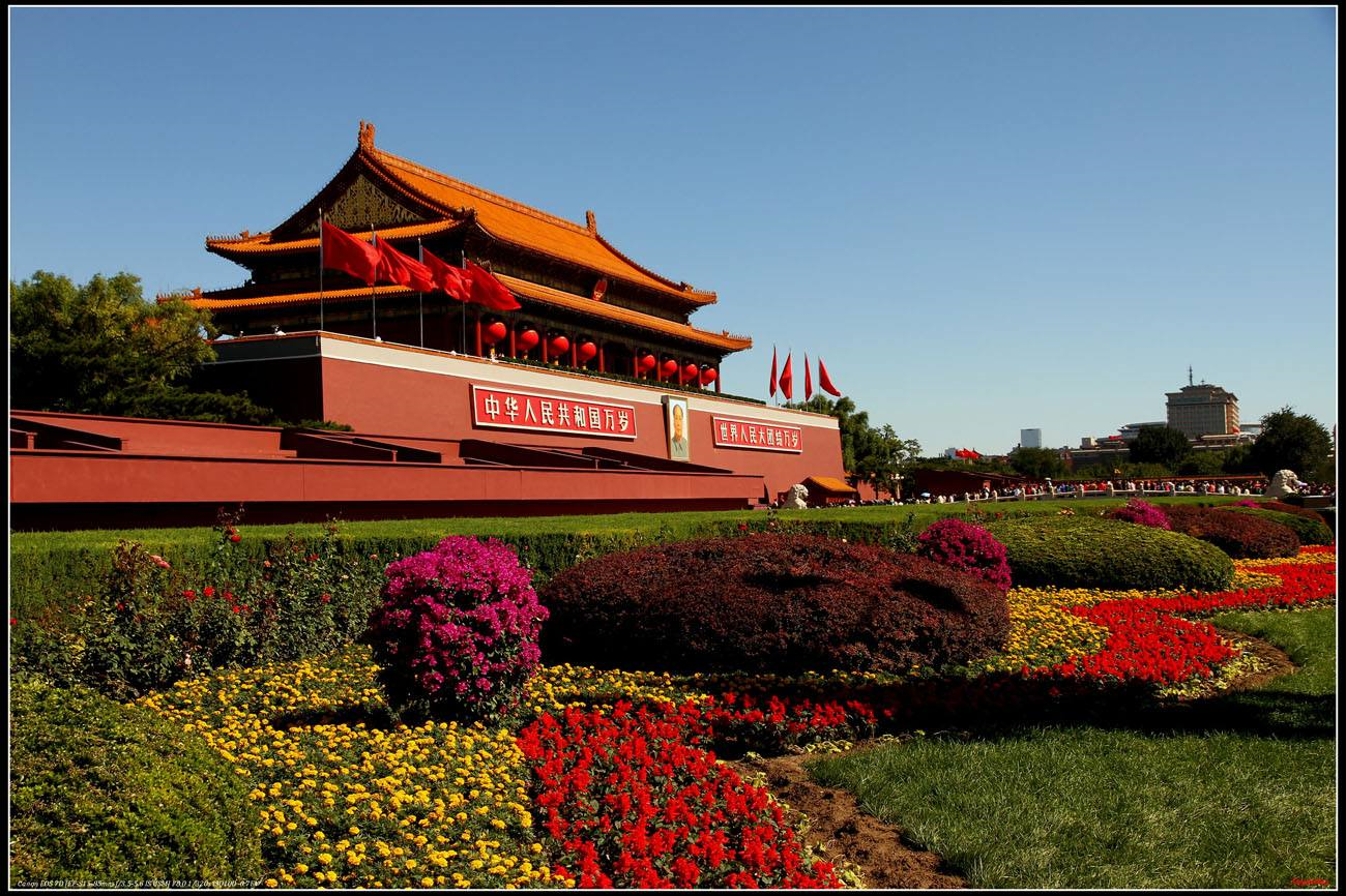 直線模組, 皮帶模組, 線性模組